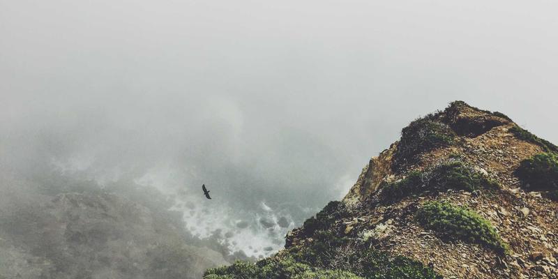 从Mrs Vee的视角出发:掌握3个叙事技巧,让平凡日常成为个人成长的动人篇章