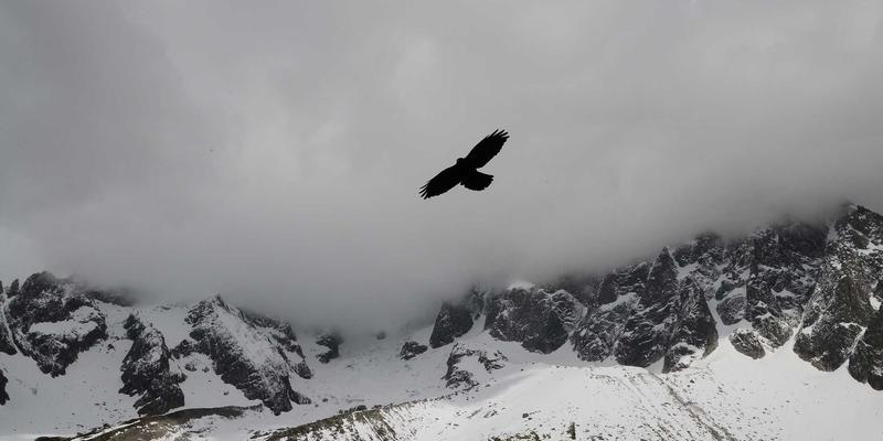 从生活感悟到地球守护者:Mrs Vee的可持续生活实践与个人成长之旅